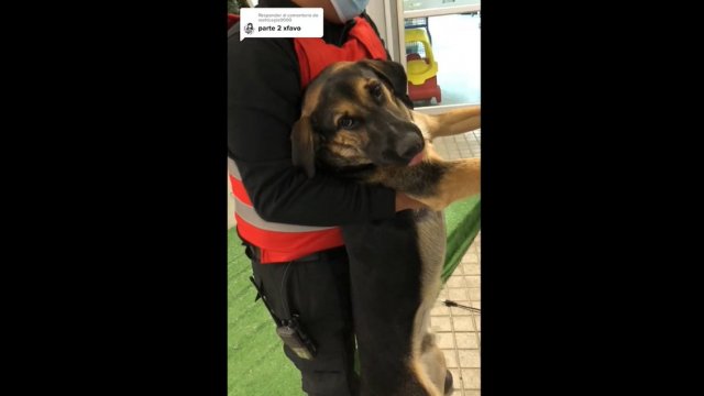 Un vistazo al Supermercado JUMBO. 