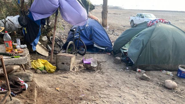Sujetos fueron sorprendidos mientras asaban un lobo marino en Arica