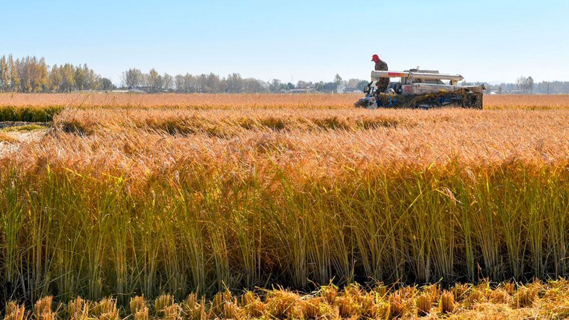 Reino Unido pide a Rusia que 
