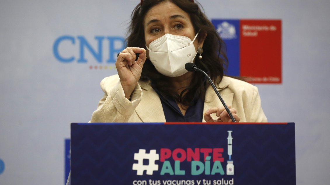 Ministra Yarza aseguró que la viruela del mono 