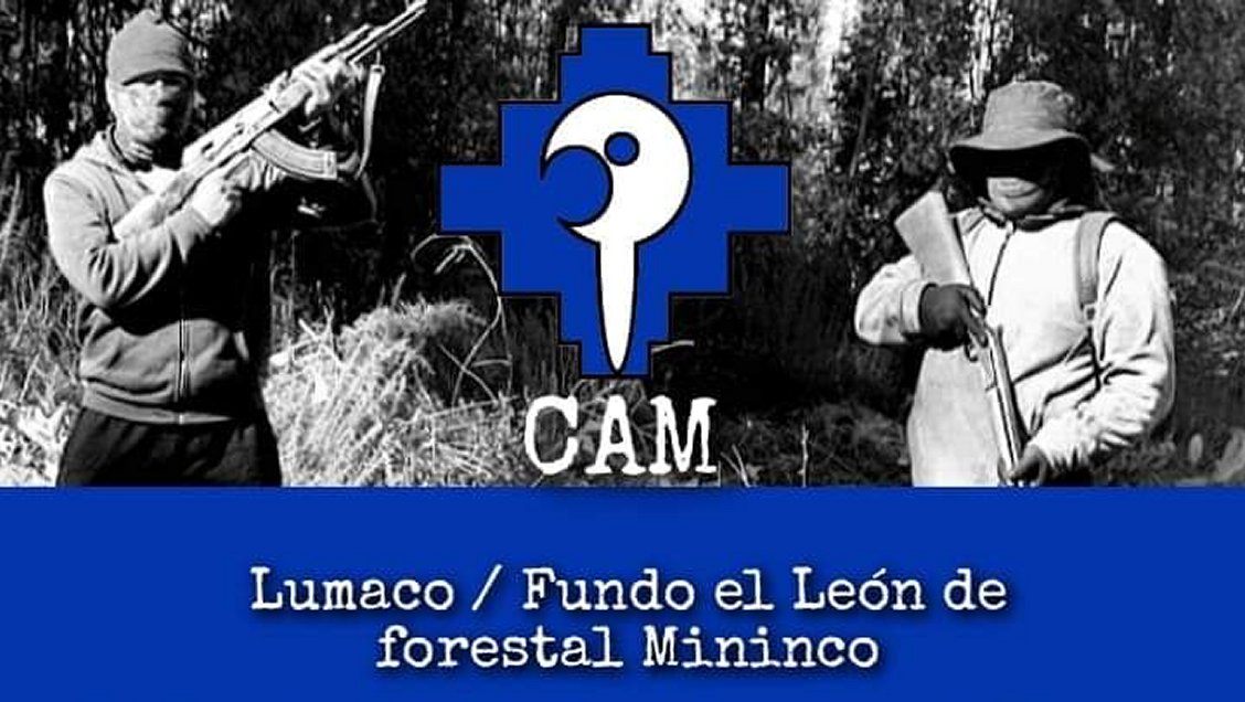 CAM se adjudicó atentado contra forestal Mininco en Lumaco