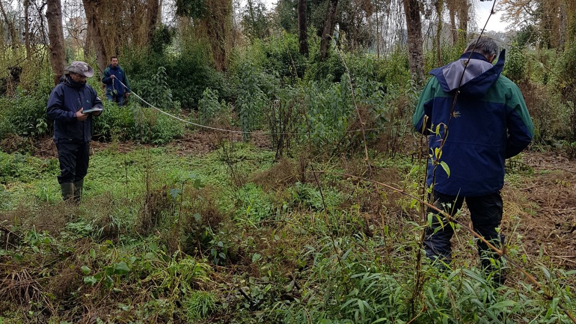 Conaf detectó parcelaciones irregulares en Puerto Octay y Osorno