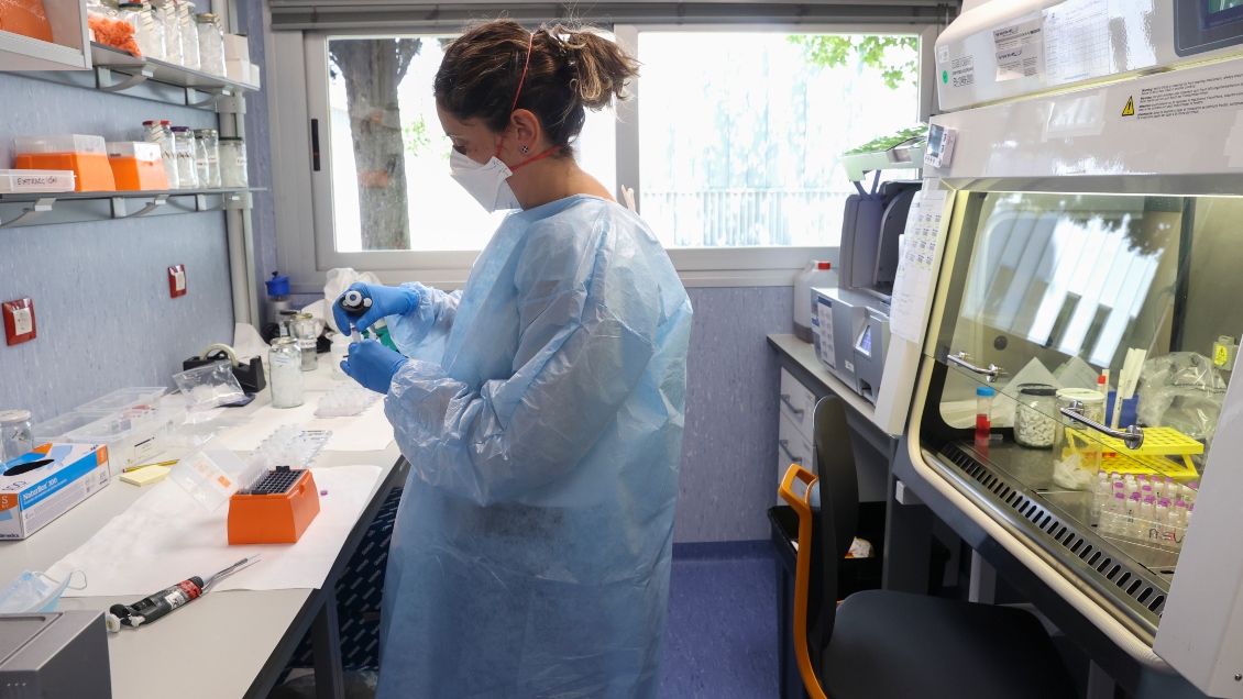 Expertos plantearon hipótesis de que la viruela del mono se transmite sexualmente