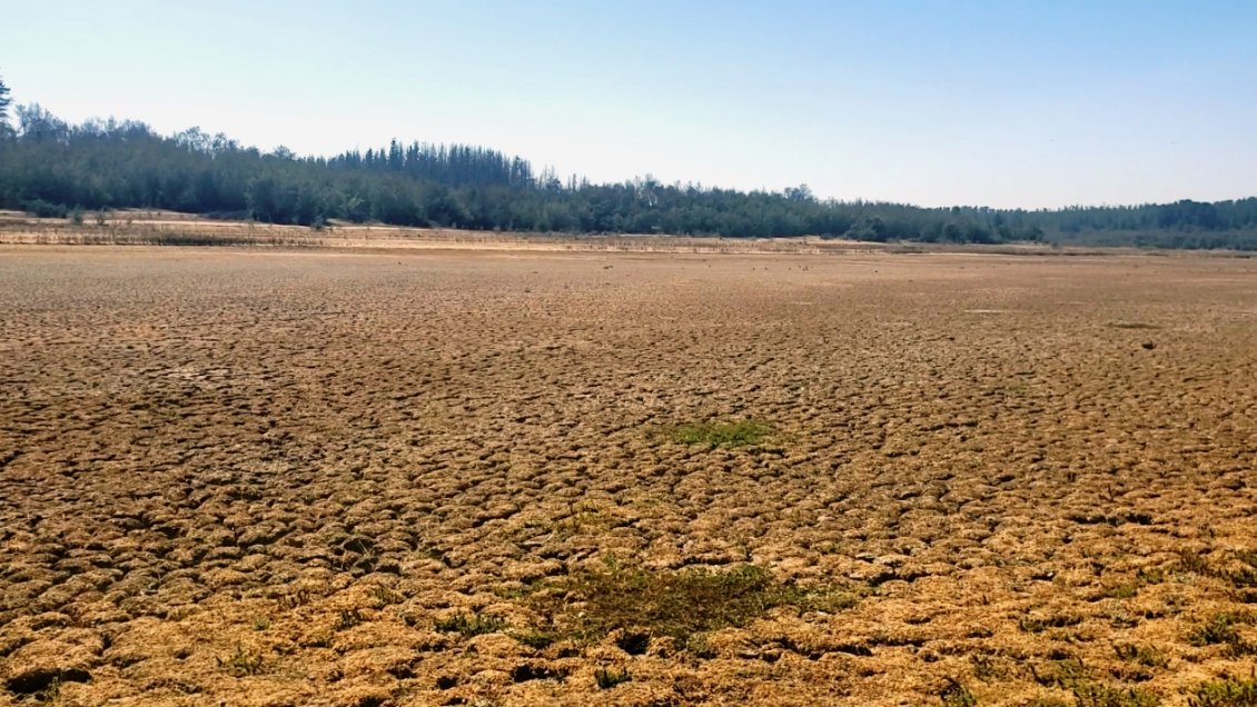 Lago Peñuelas cumple 70 años como reserva: 