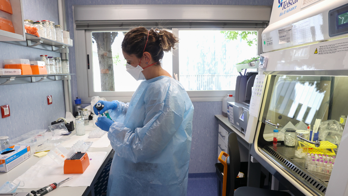 Casos globales de viruela del mono rozan los 800, según la OMS: Reino Unido y España los más afectados