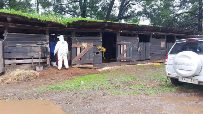 Confesión permitió hallar cuerpo de una mujer que estaba desaparecida desde hace 24 años en Osorno