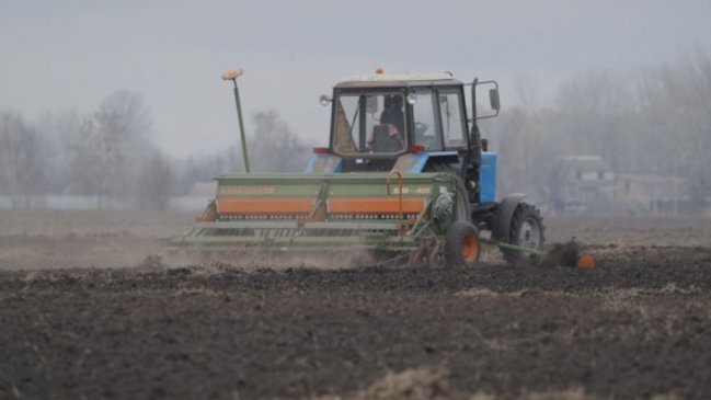 Pese a la guerra, Ucrania logró sembrar el 75 por ciento de la tierra para la próxima cosecha