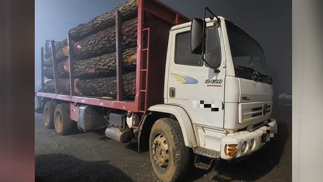 Hombre fue detenido con madera robada desde un predio de Valdivia