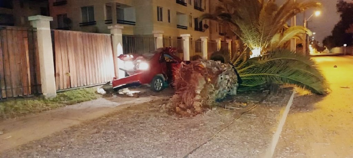 Dos hombres que huían de Carabineros murieron al chocar su vehículo contra una palmera