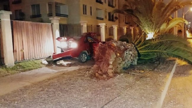 Dos hombres que huían de Carabineros murieron al chocar su vehículo contra una palmera