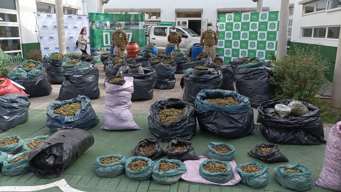 Una tonelada, dos millones de dosis, 8.000 millones de pesos: Enorme incautación de marihuana en Ovalle