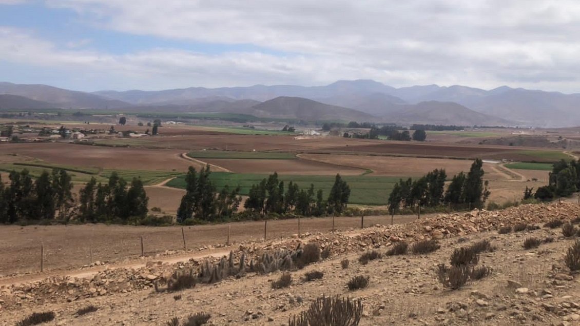 Mujer condenada a 20 años por estafas y loteos irregulares fue formalizada por nuevo timo