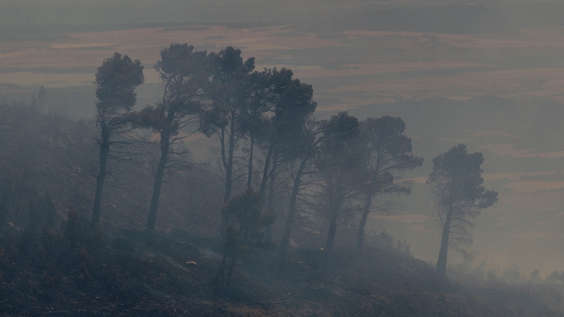 Más de 850 incendios forestales están activos en EE.UU. en el comienzo del verano