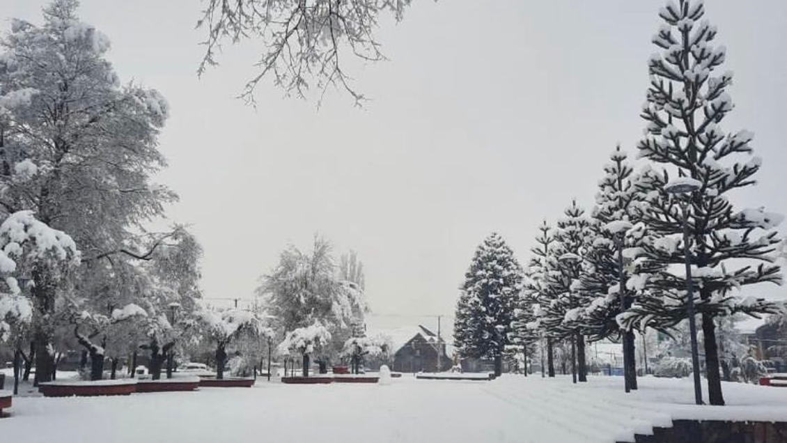 Nevazones mantienen aisladas a miles de personas en Lonquimay