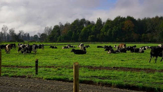 Encuentro en Osorno trató sobre los avances de la agricultura regenerativa