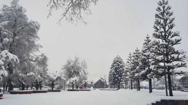 Nevazón en Lonquimay mantiene a 122 familias aisladas