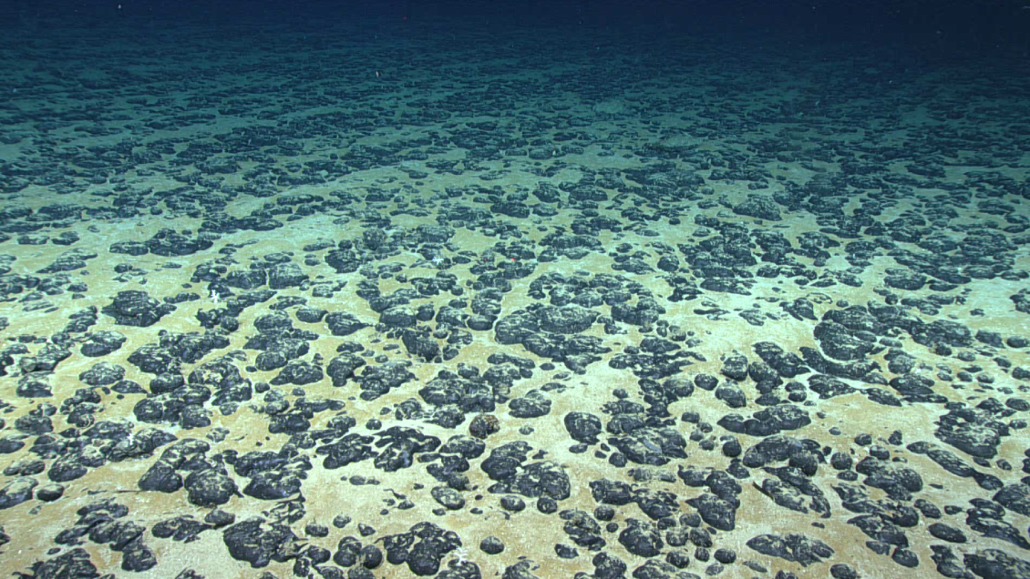 ¿Habrá minería submarina? Crece la presión internacional para aprobar moratoria impulsada por Chile