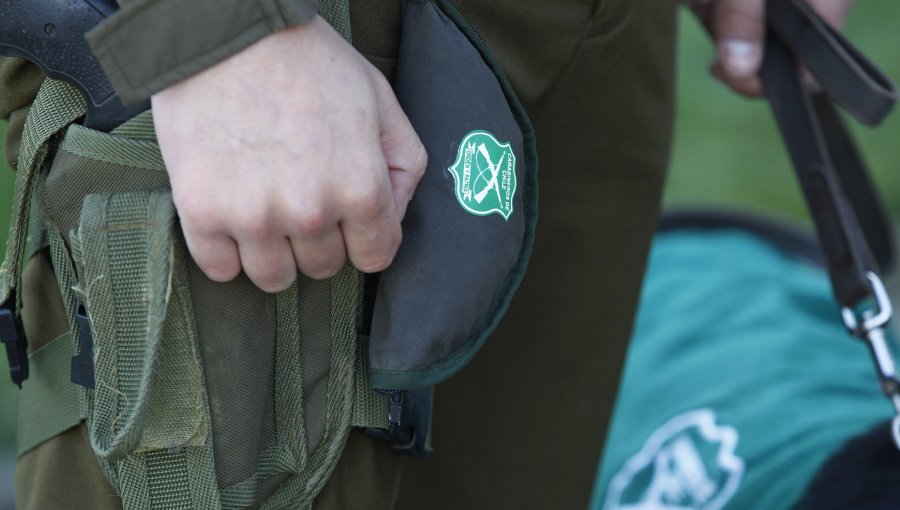 Sujeto fue detenido por intento de sustracción de una menor de siete años en Temuco