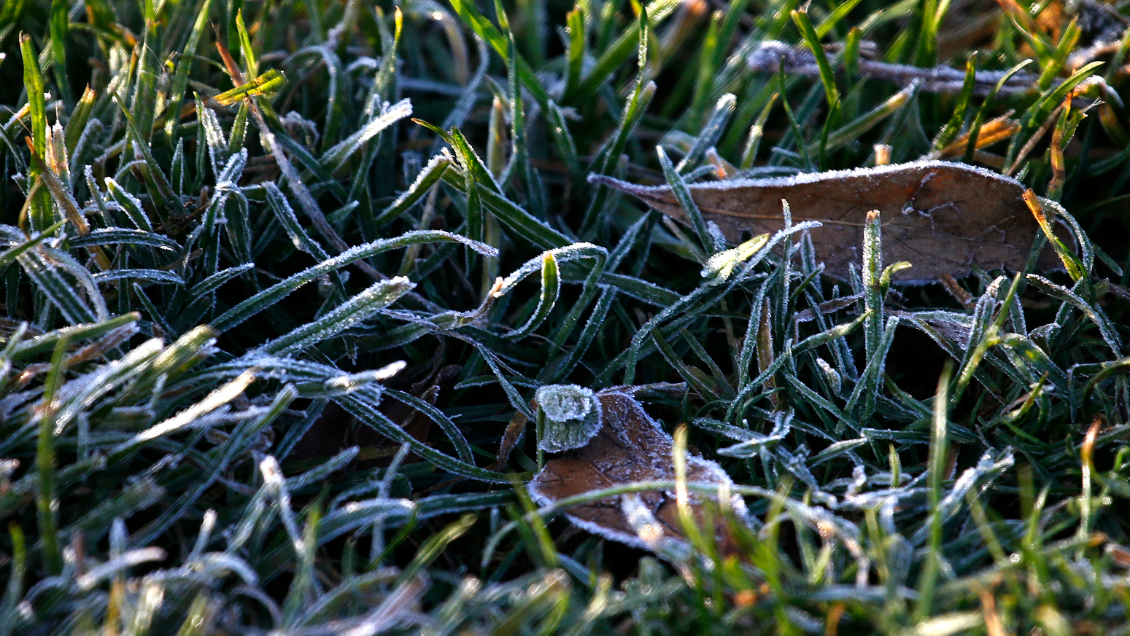 Proyectan heladas entre las regiones de Valparaíso y Biobío: Se esperan -4°C