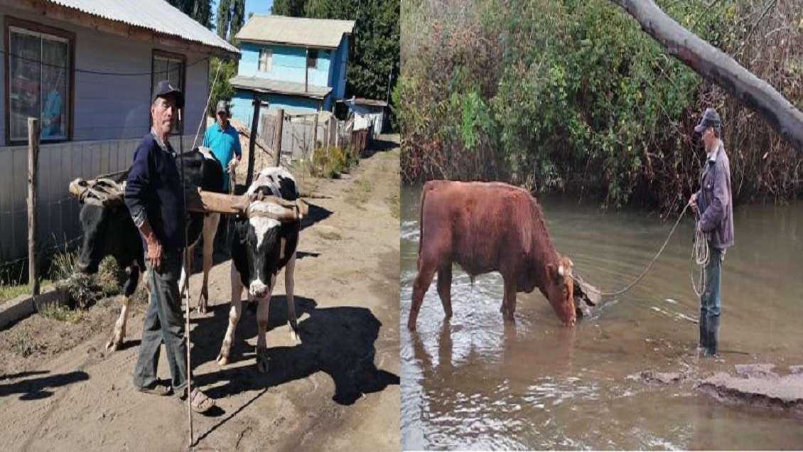 Familia clama por ayuda especializada para buscar en río de Nacimiento a campesino perdido