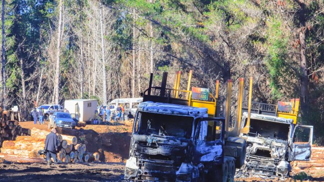 CAM se adjudicó ataque incendiario en Carahue