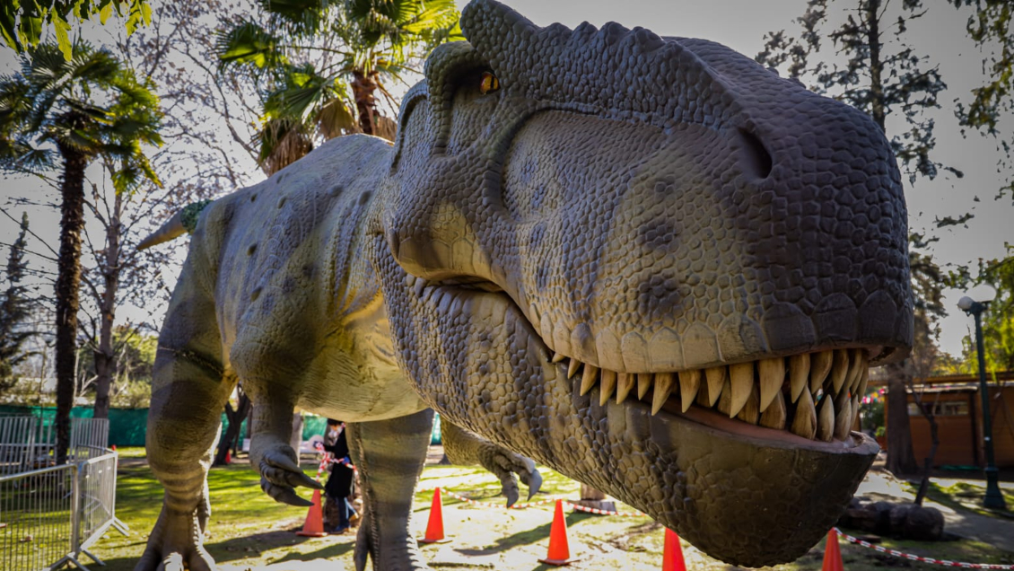 Algunos panoramas para las vacaciones escolares de invierno