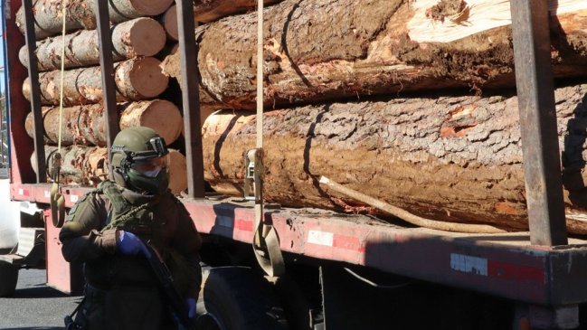 Carabineros detuvo a tres sujetos por robo de madera en la comuna de Purén