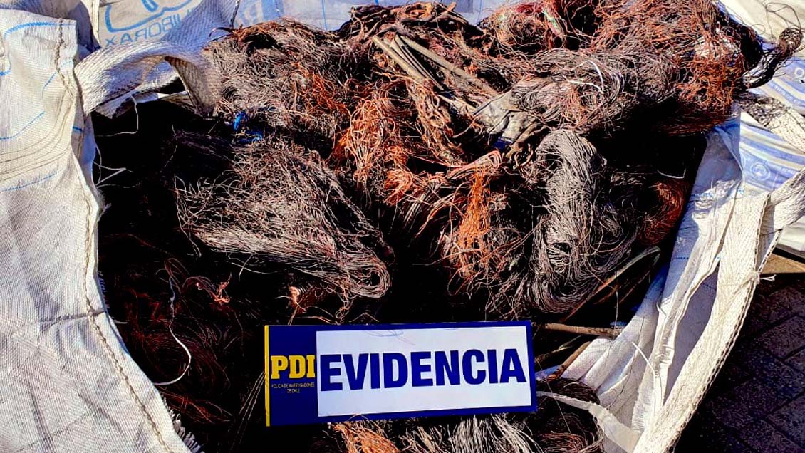 Detectan 14 toneladas de cables de cobre robados en el Puerto de Arica