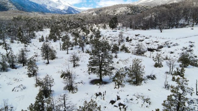 Mantienen prohibición de subir a la alta cordillera por llegada de nuevo sistema frontal al Maule