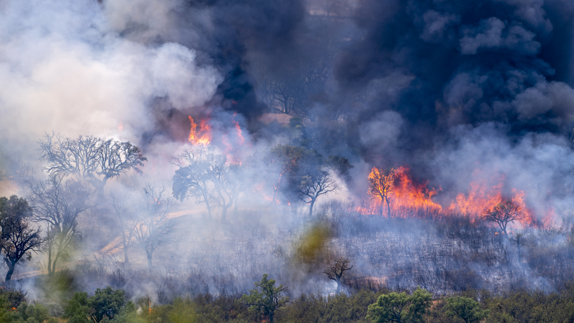 Incendios golpean el sur de Europa en medio de una ola de calor extrema