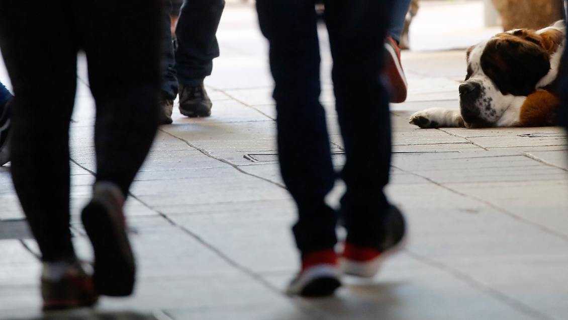 Plan Paso a Paso: 10 comunas de la Región de O'Higgins retrocederán de fase este jueves