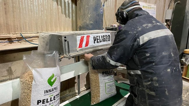 Crisis del pellet en el Biobío: Autoridades llaman a no crear 