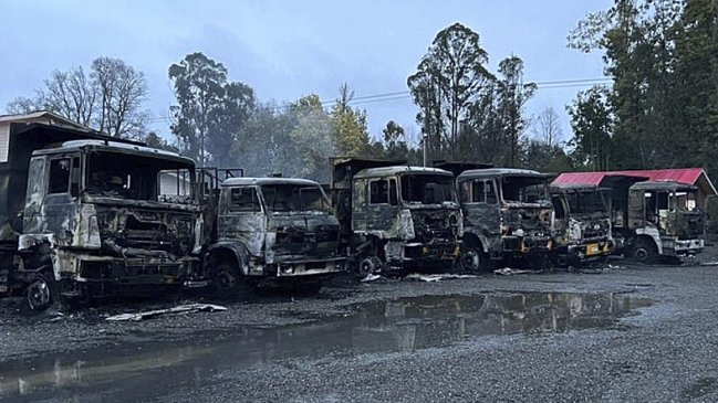 Delegada de Los Ríos: Hay que apostar a un cambio metodológico de las investigaciones para que den frutos