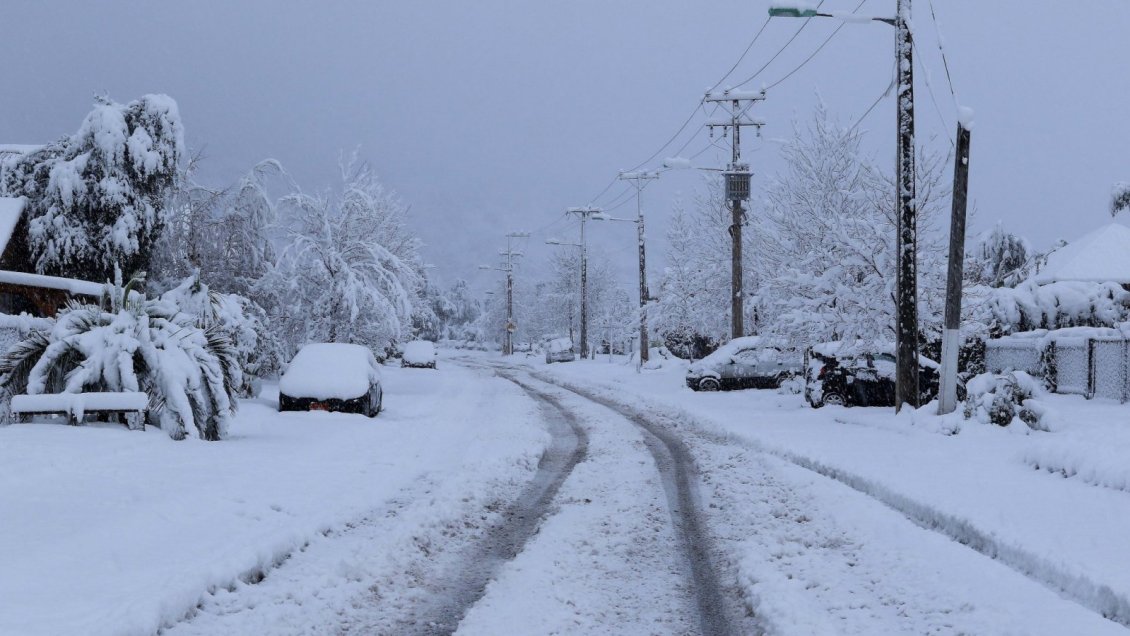 Gobierno entrega de sacos de alimento animal para agricultores de Lonquimay afectados por las nevadas