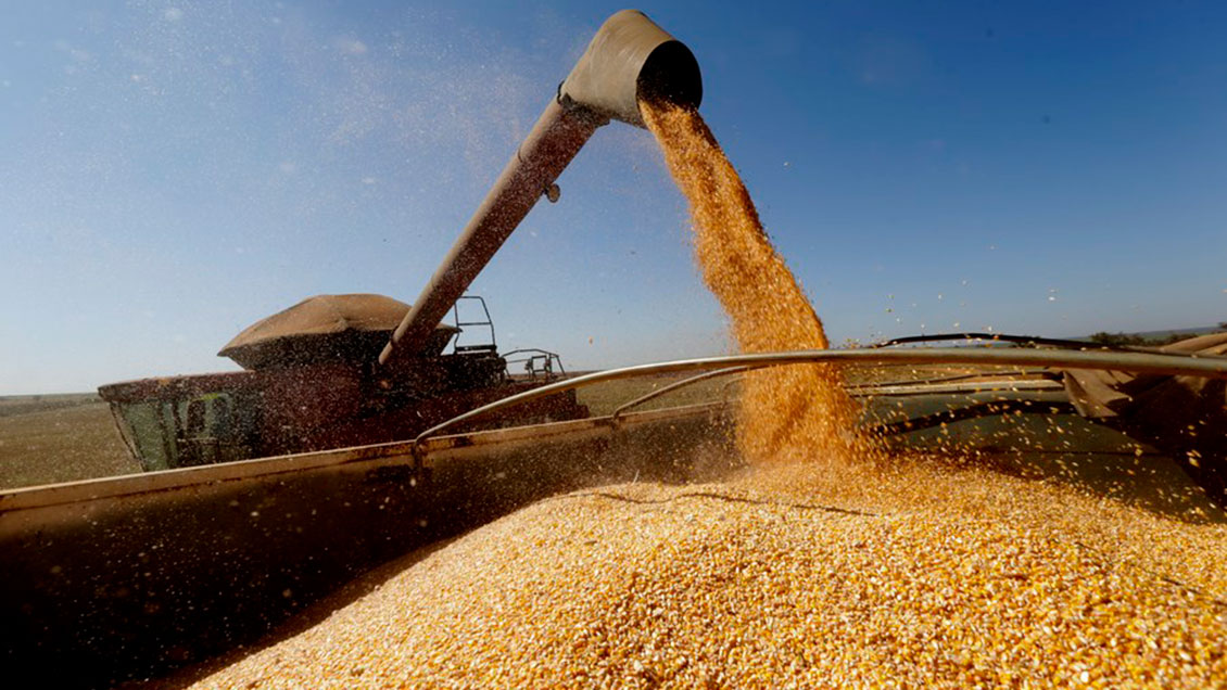 Ucrania anuncia que comenzará a exportar cereal por mar esta semana