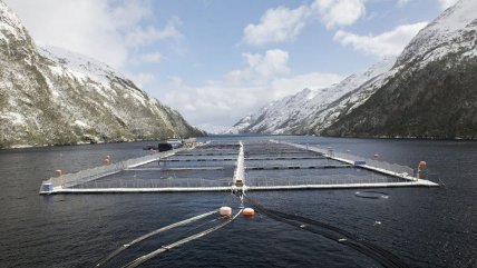  Acusan que concesiones salmoneras operan en parques nacionales de la Patagonia  