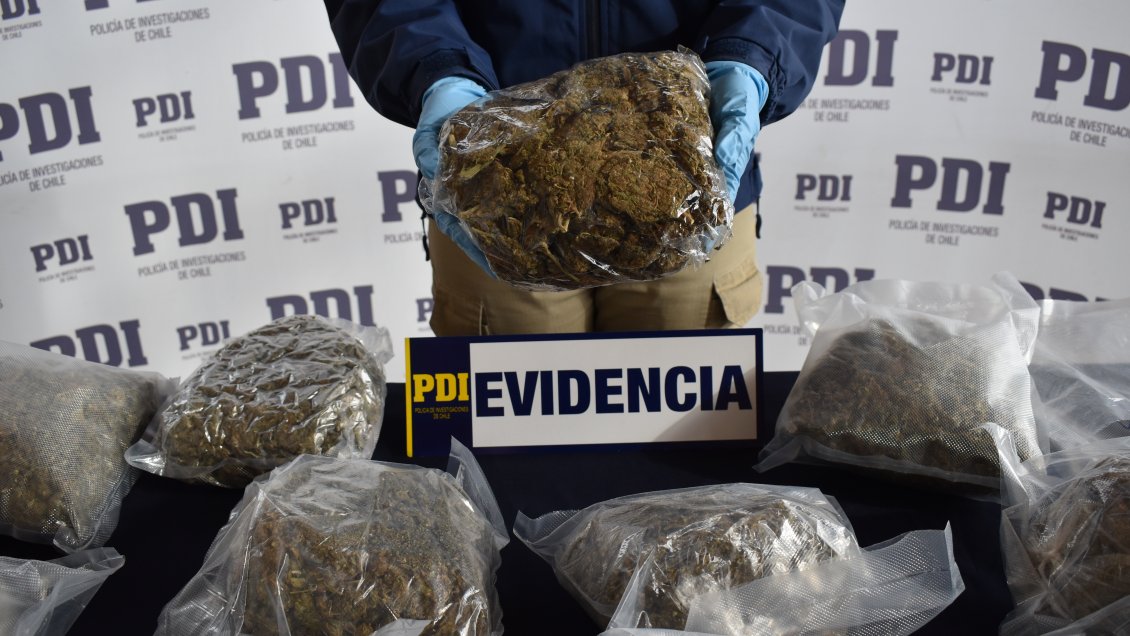 Aysén: Incautan 12 kilos de droga entre marihuana, tusi y cocaína