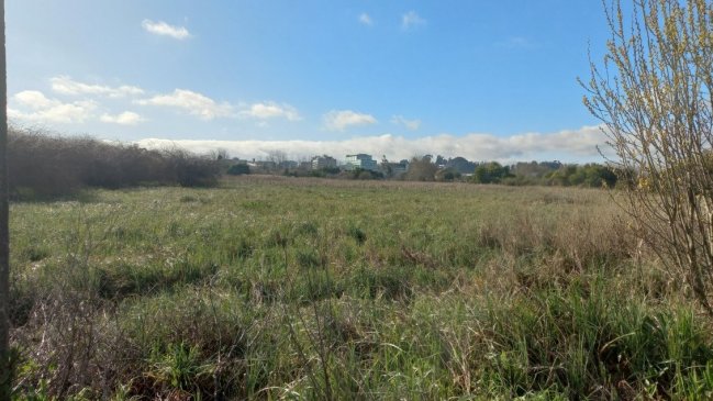 Autoridades solicitaron al Gobierno otorgar protección al humedal Vasco da Gama de Hualpén