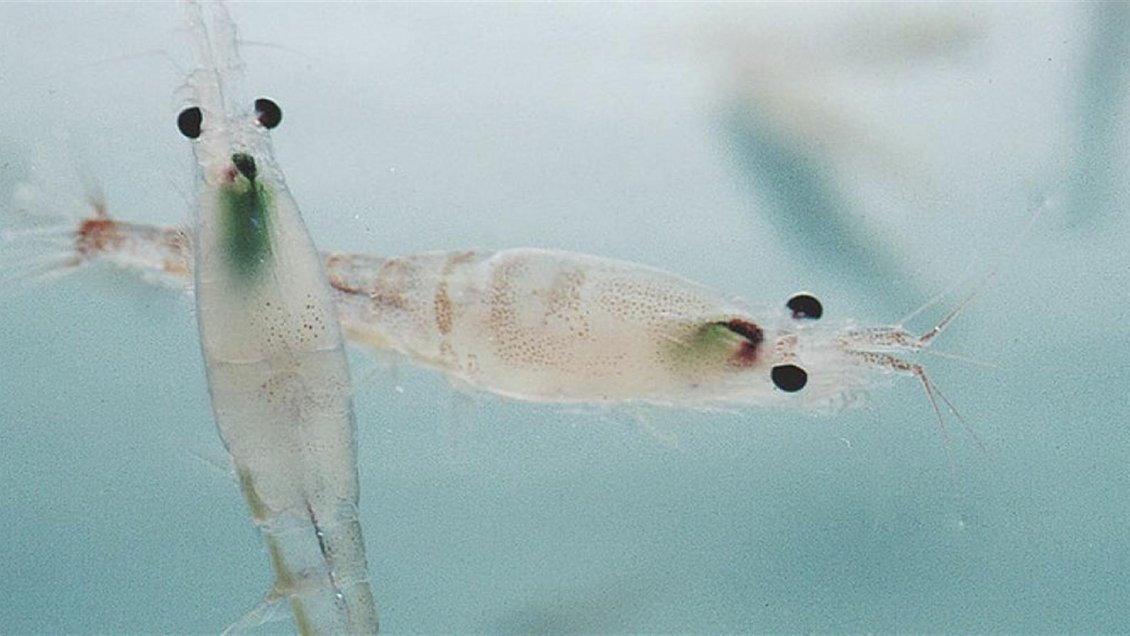 Minoristas y supermercados 