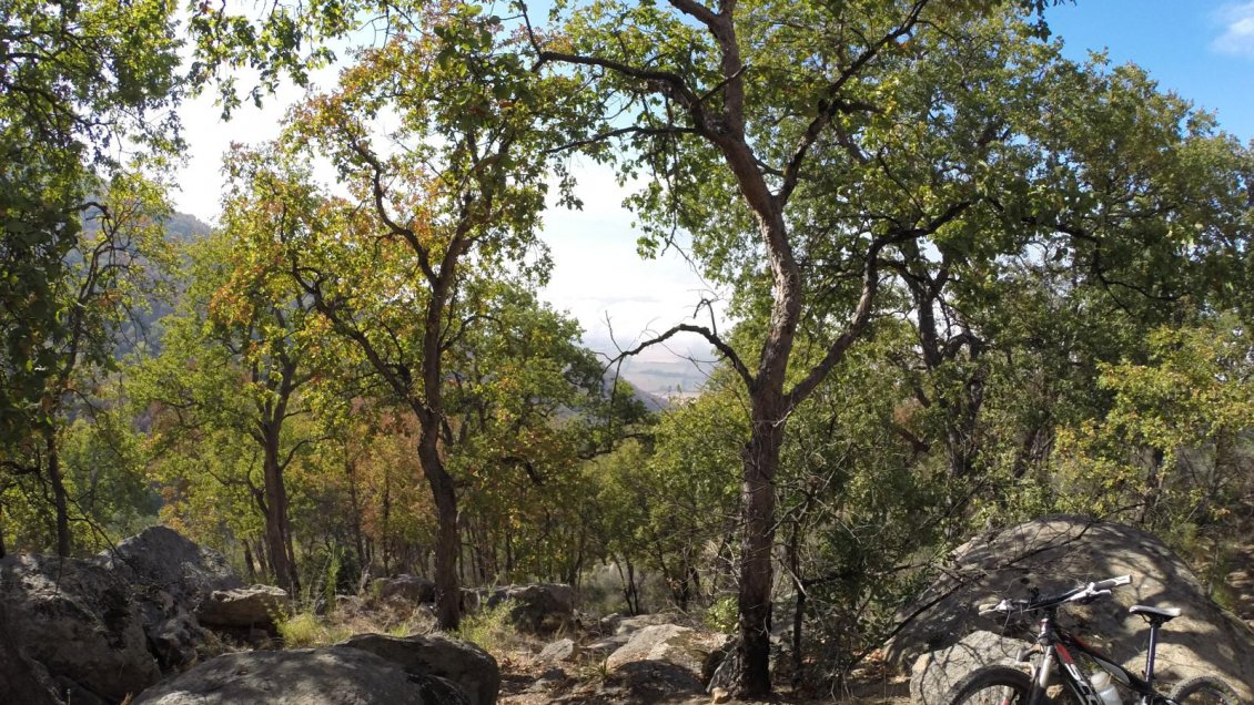 Crean mesa de trabajo para conservación de cerro Pangalillo en San Fernando