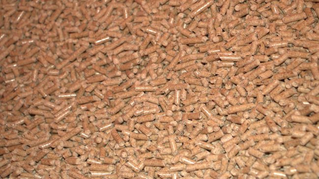 Ministerio de Energía convocó a Mesa Nacional de Pellet para evitar falta de stock