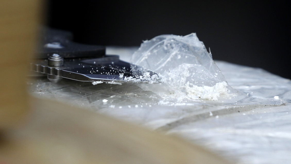 Diputado Coloma pidió 