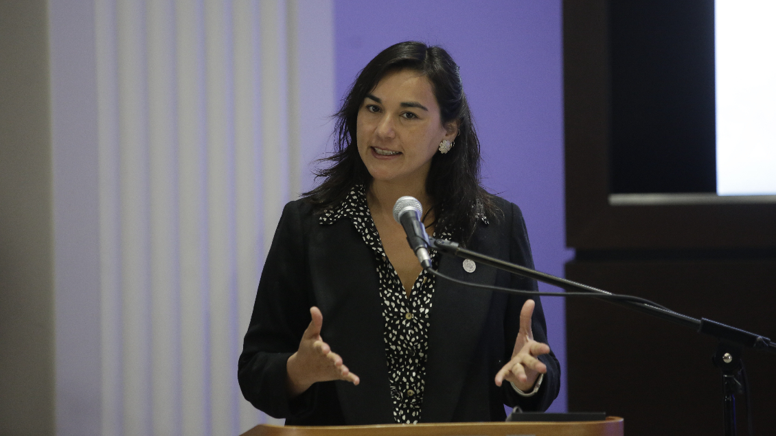 Siches: La PDI y Carabineros dependen de Interior, pero sin duda existe una autonomía excesiva