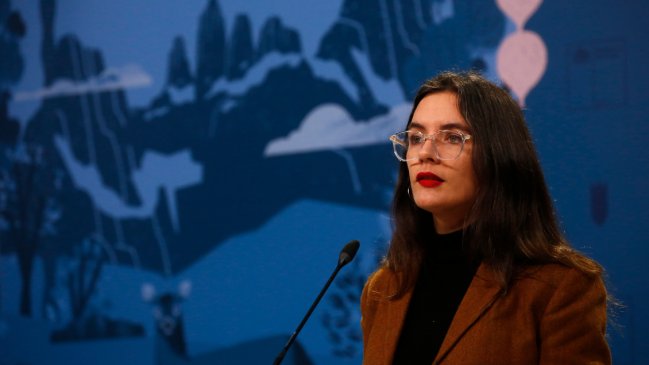 Vallejo por situación en la Macrozona Sur: No hay bala de plata para solucionar un tema tan complejo