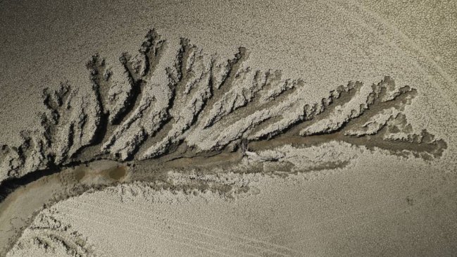 Europa sufre la peor sequía en 500 años