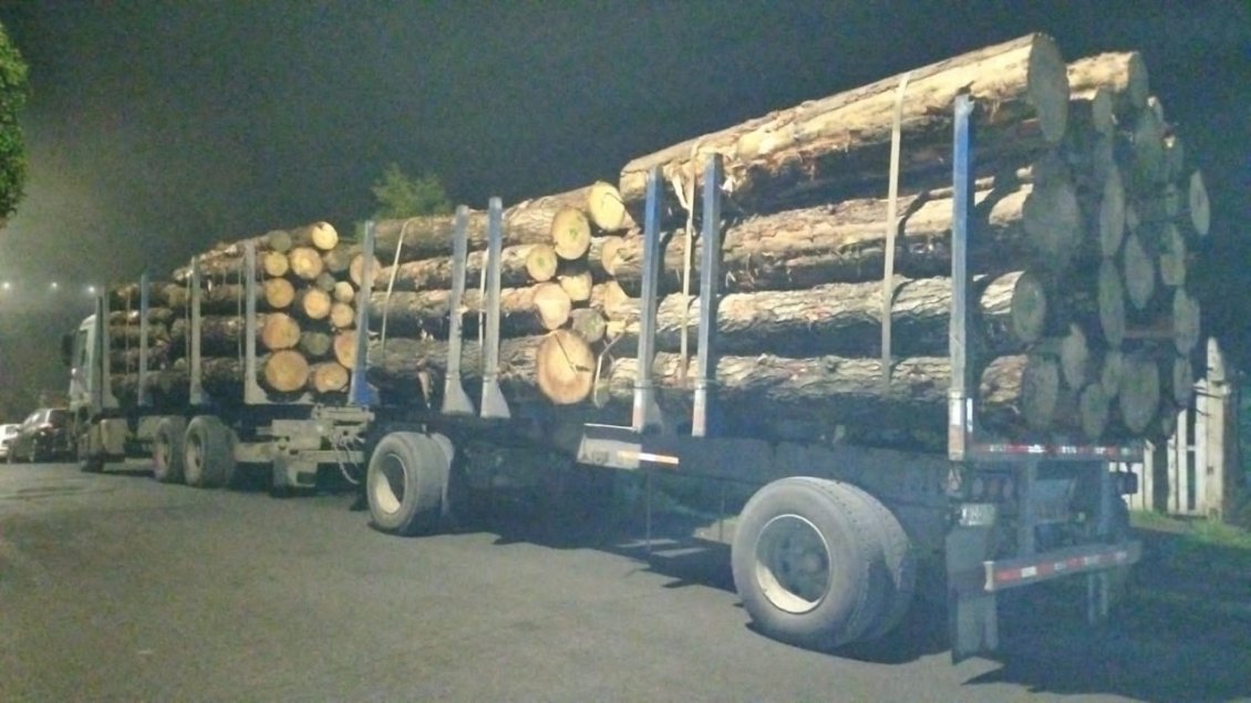 Congreso Aprobó Ley Que Tipifica Robo De Madera Y Autoriza Técnicas