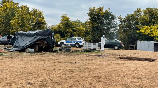 Asaltan fundo en Pelarco: Trabajadores fueron atados y 60 animales robados