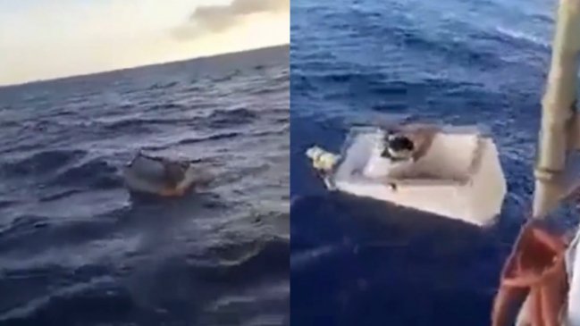 Naufragó: Hombre sobrevivió 11 días a la deriva dentro de un congelador en el Océano Atlántico