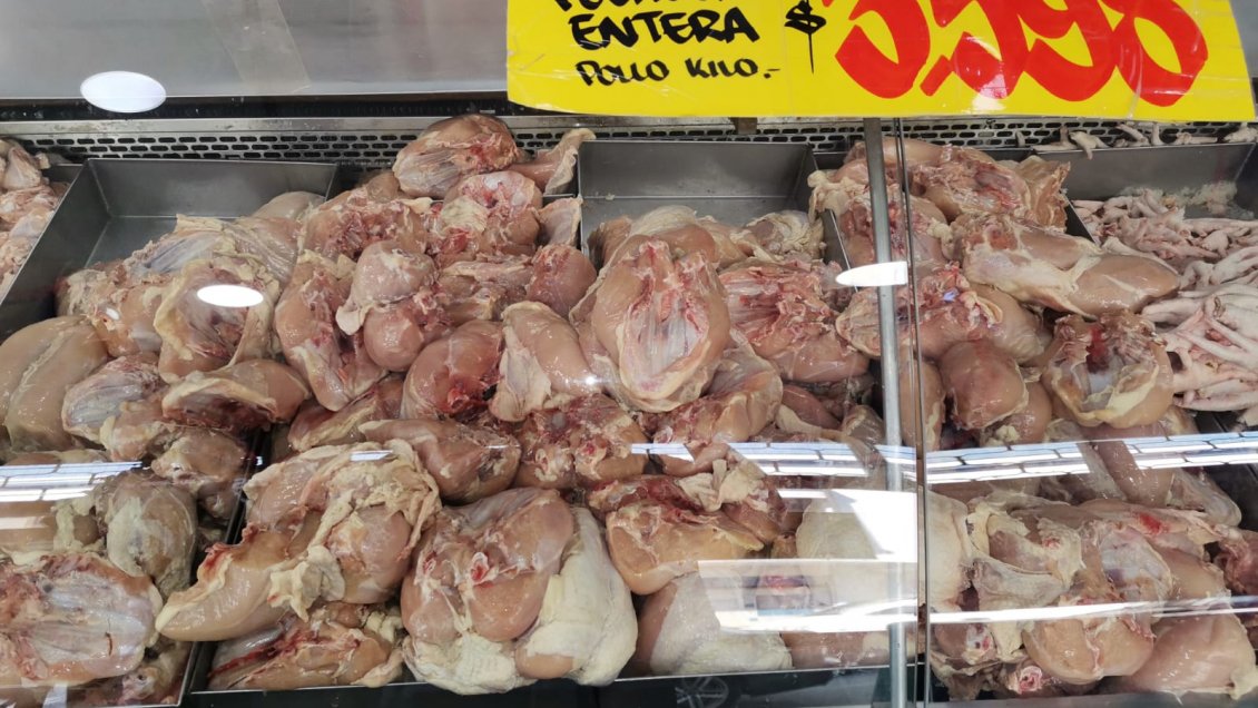 O'Higgins: Seremi de Salud decomisa más de 700 kilos de pollo no apto para el consumo