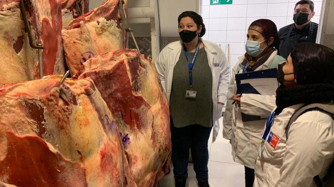 Seremi de Salud ha decomisdo más de una tonelada de carne en mal estado en O'Higgins